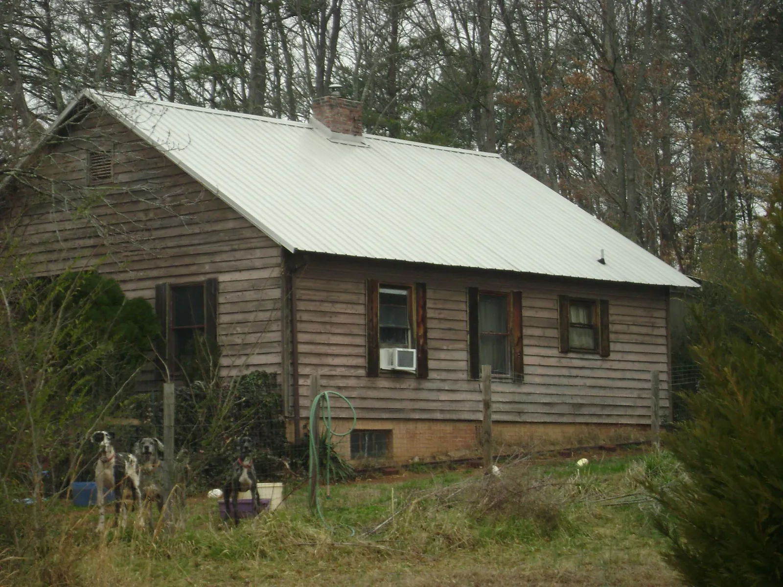 White metal roof on an old wood sided farmhouse, from a Asphalt Shingle Roof Repair job in West Union